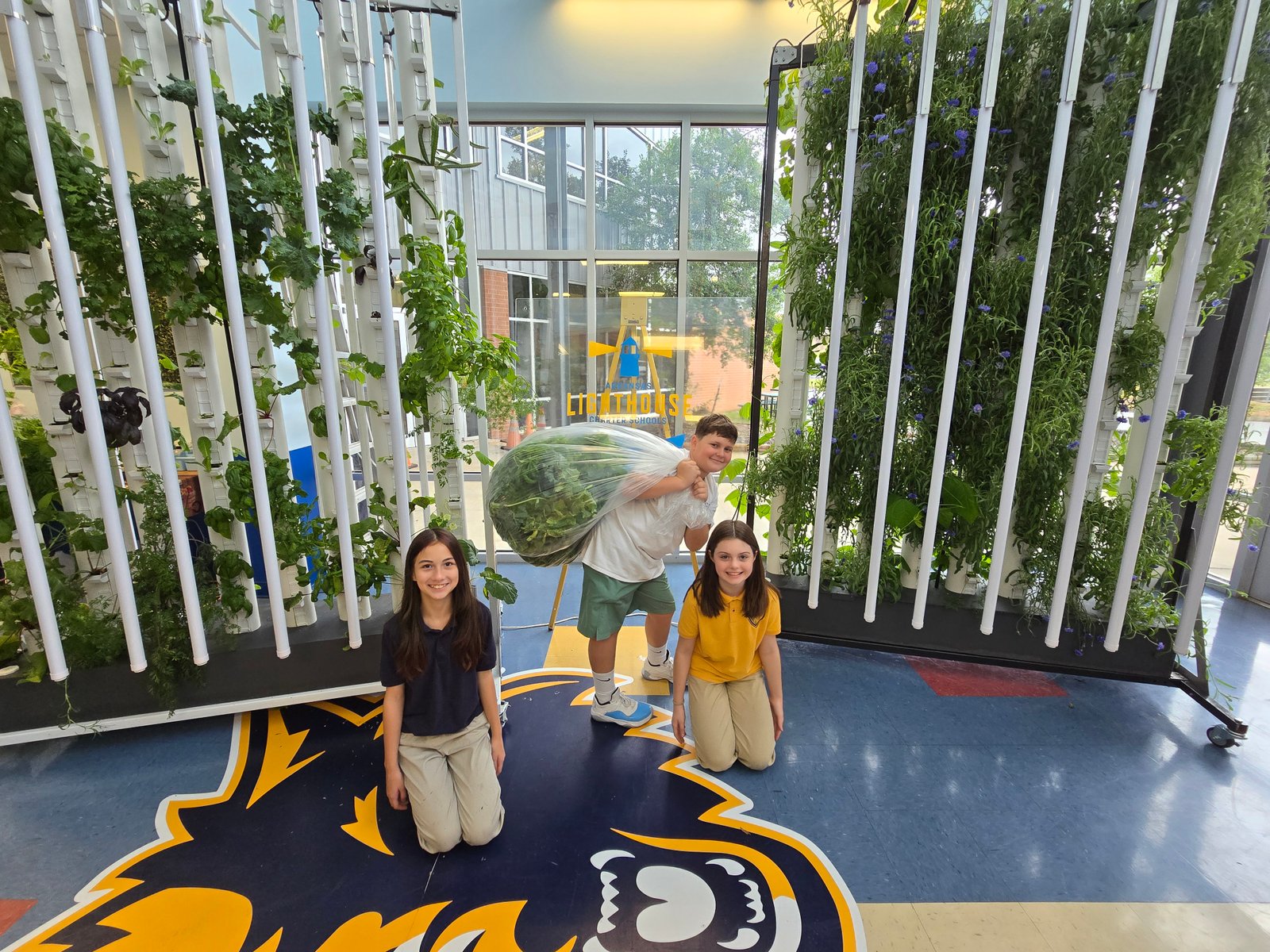 180 Pipe Vertical Farming